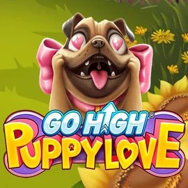 game logo by RubyPlay on priced-up-casino.co.uk